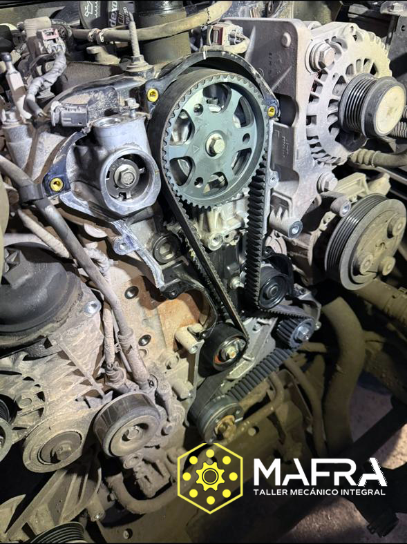 Reparación de distribución Volkswagen Amarok